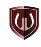 Wave Infratech Logo